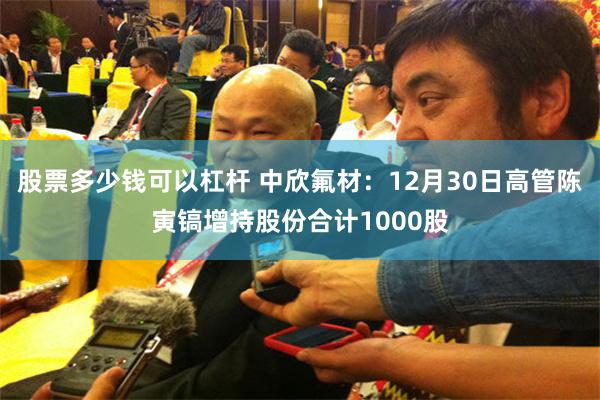 股票多少钱可以杠杆 中欣氟材：12月30日高管陈寅镐增持股份合计1000股