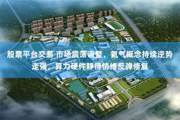 股票平台交易 市场震荡调整，氦气概念持续逆势走强，算力硬件静待情绪反弹修复