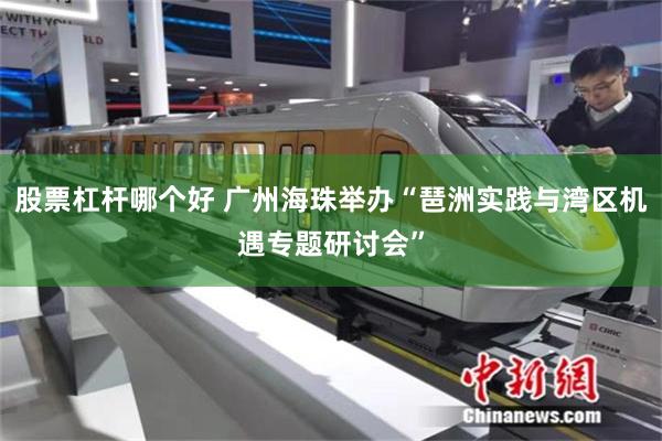 股票杠杆哪个好 广州海珠举办“琶洲实践与湾区机遇专题研讨会”