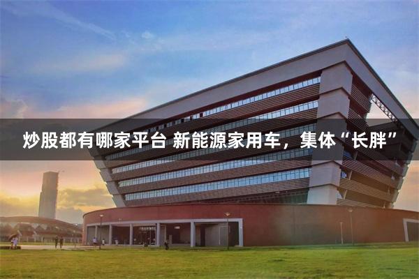炒股都有哪家平台 新能源家用车,集体“长胖”