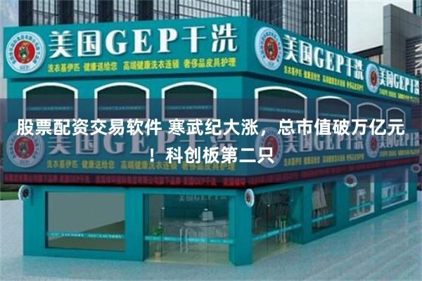 股票配资交易软件 寒武纪大涨，总市值破万亿元！科创板第二只