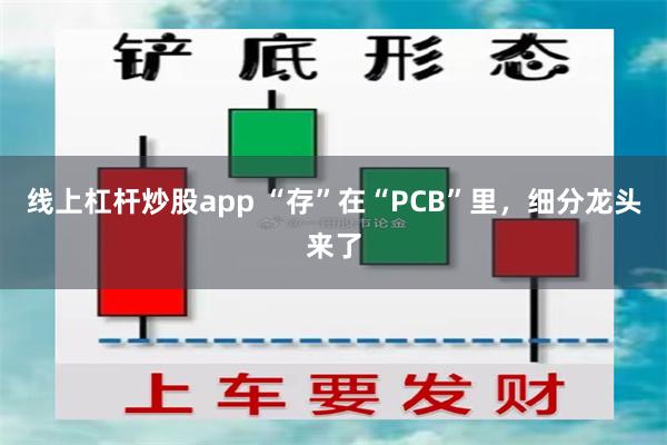 线上杠杆炒股app “存”在“PCB”里,细分龙头来了