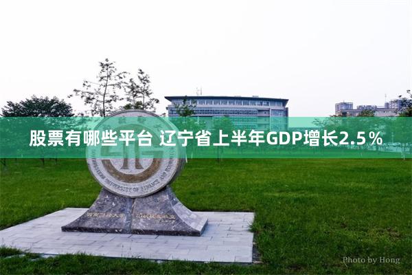 股票有哪些平台 辽宁省上半年GDP增长2.5％