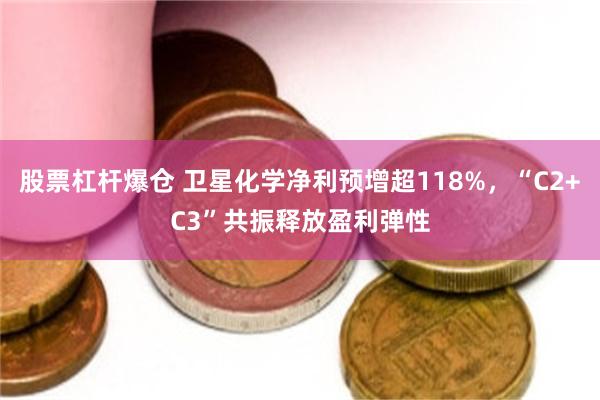 股票杠杆爆仓 卫星化学净利预增超118%，“C2+C3”共振释放盈利弹性