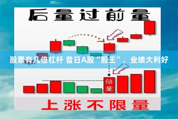 股票有几倍杠杆 昔日A股“股王”，业绩大利好