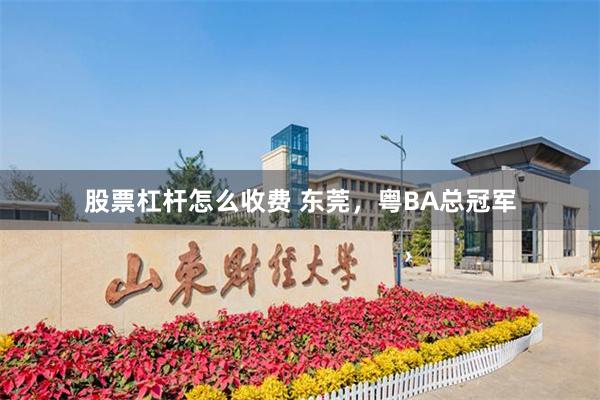 股票杠杆怎么收费 东莞，粤BA总冠军