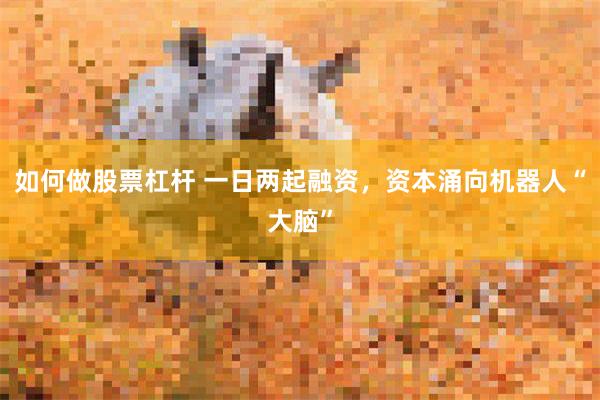 如何做股票杠杆 一日两起融资，资本涌向机器人“大脑”