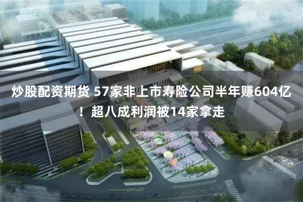 炒股配资期货 57家非上市寿险公司半年赚604亿！超八成利润被14家拿走