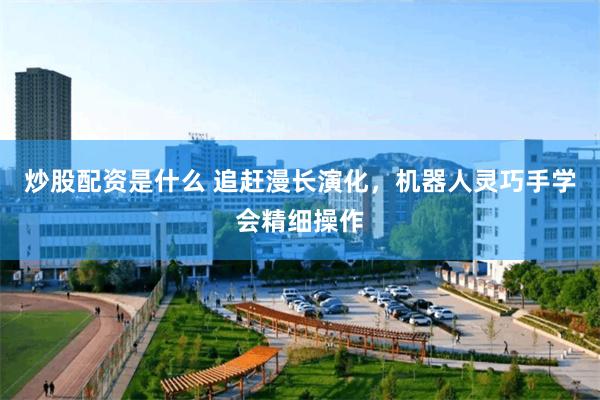 炒股配资是什么 追赶漫长演化，机器人灵巧手学会精细操作