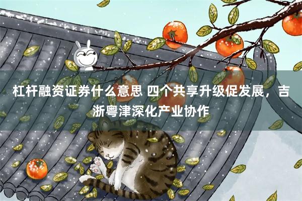 杠杆融资证券什么意思 四个共享升级促发展，吉浙粤津深化产业协作