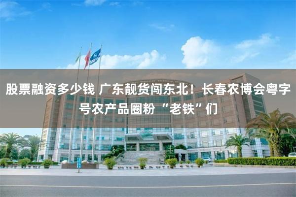 股票融资多少钱 广东靓货闯东北！长春农博会粤字号农产品圈粉 “老铁”们