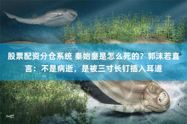 股票配资分仓系统 秦始皇是怎么死的？郭沫若直言：不是病逝，是被三寸长钉插入耳道