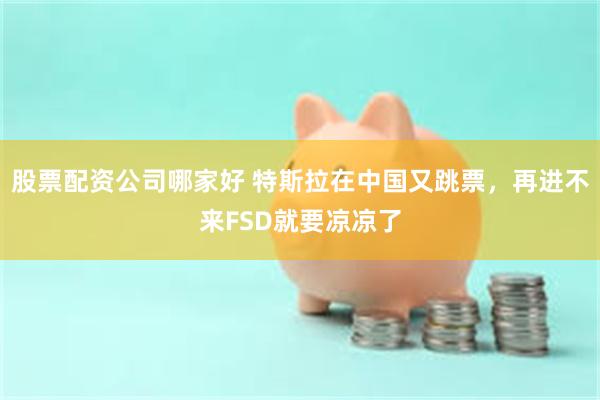 股票配资公司哪家好 特斯拉在中国又跳票，再进不来FSD就要凉凉了