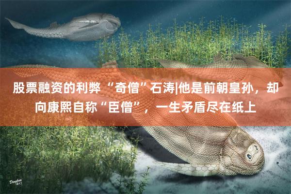 股票融资的利弊 “奇僧”石涛|他是前朝皇孙，却向康熙自称“臣僧”，一生矛盾尽在纸上