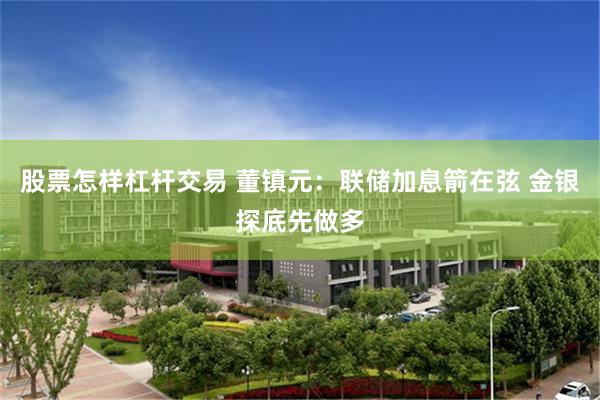 股票怎样杠杆交易 董镇元：联储加息箭在弦 金银探底先做多