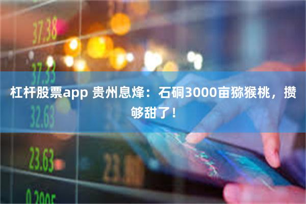 杠杆股票app 贵州息烽：石硐3000亩猕猴桃，攒够甜了！