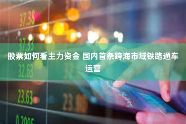 股票如何看主力资金 国内首条跨海市域铁路通车运营