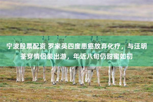 宁波股票配资 罗家英四度患癌放弃化疗，与汪明荃穿情侣装出游，年近八旬仍甜蜜如初