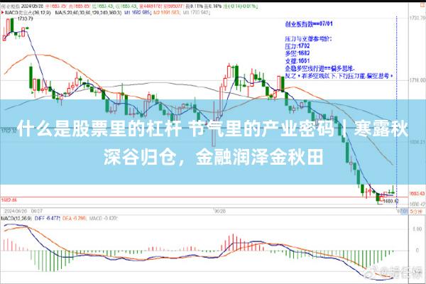 什么是股票里的杠杆 节气里的产业密码｜寒露秋深谷归仓，金融润泽金秋田
